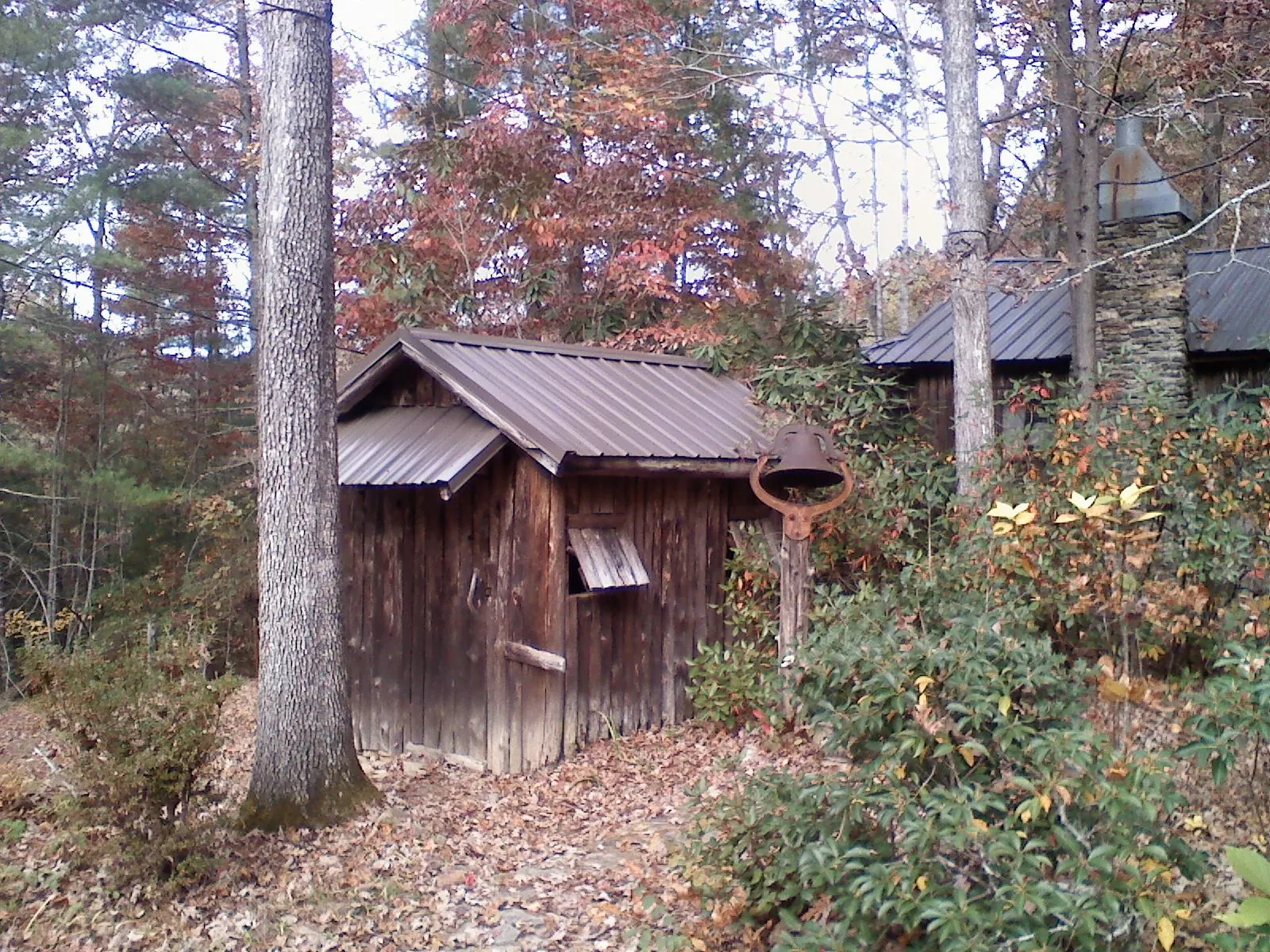 Small metal roof on a rough sawn shed in the woods in Barksdale